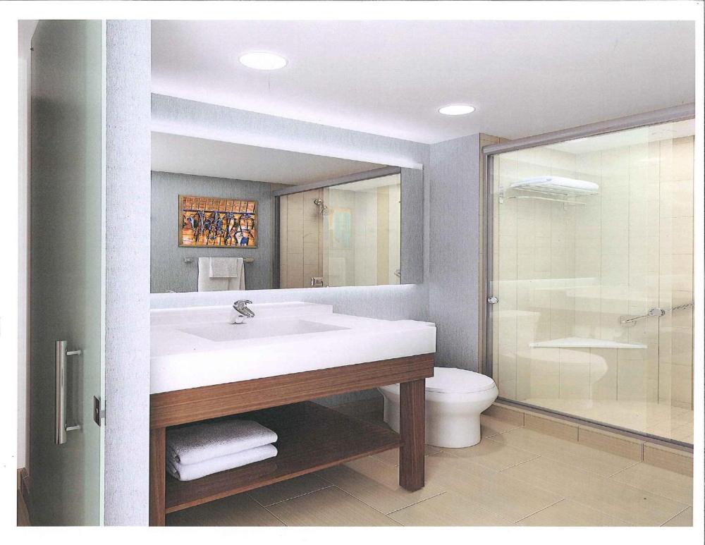 One-Bedroom King Suite with Sofa Bed interior